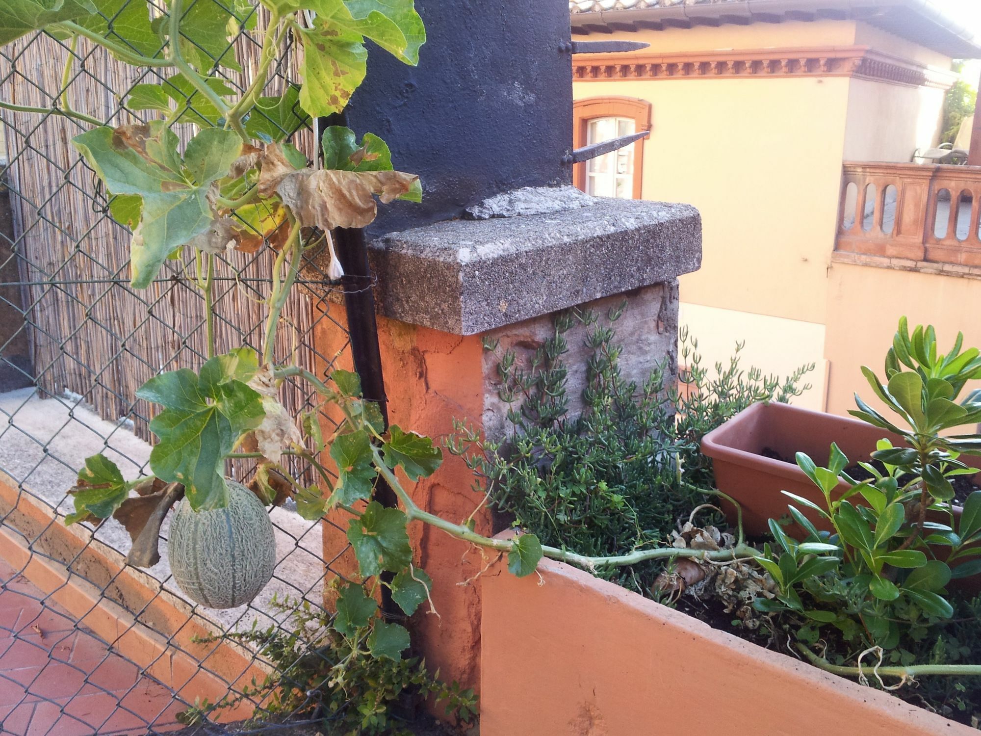 페루자 Al Giardino Di Alice B&B 외부 사진